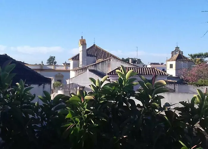 Piso En Centro Historico شقة